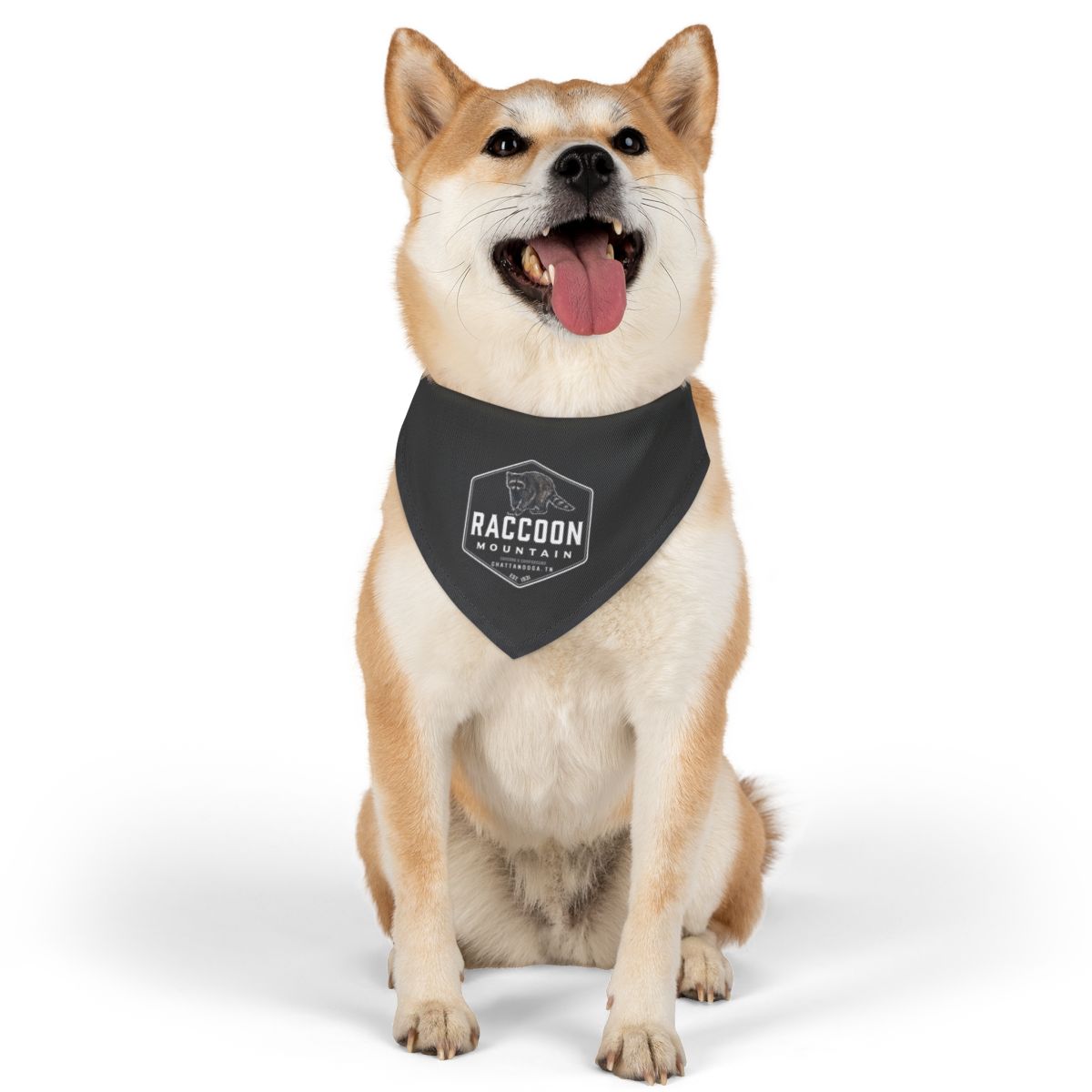 Raccoon Mountain Logo Dog Collar + Bandana