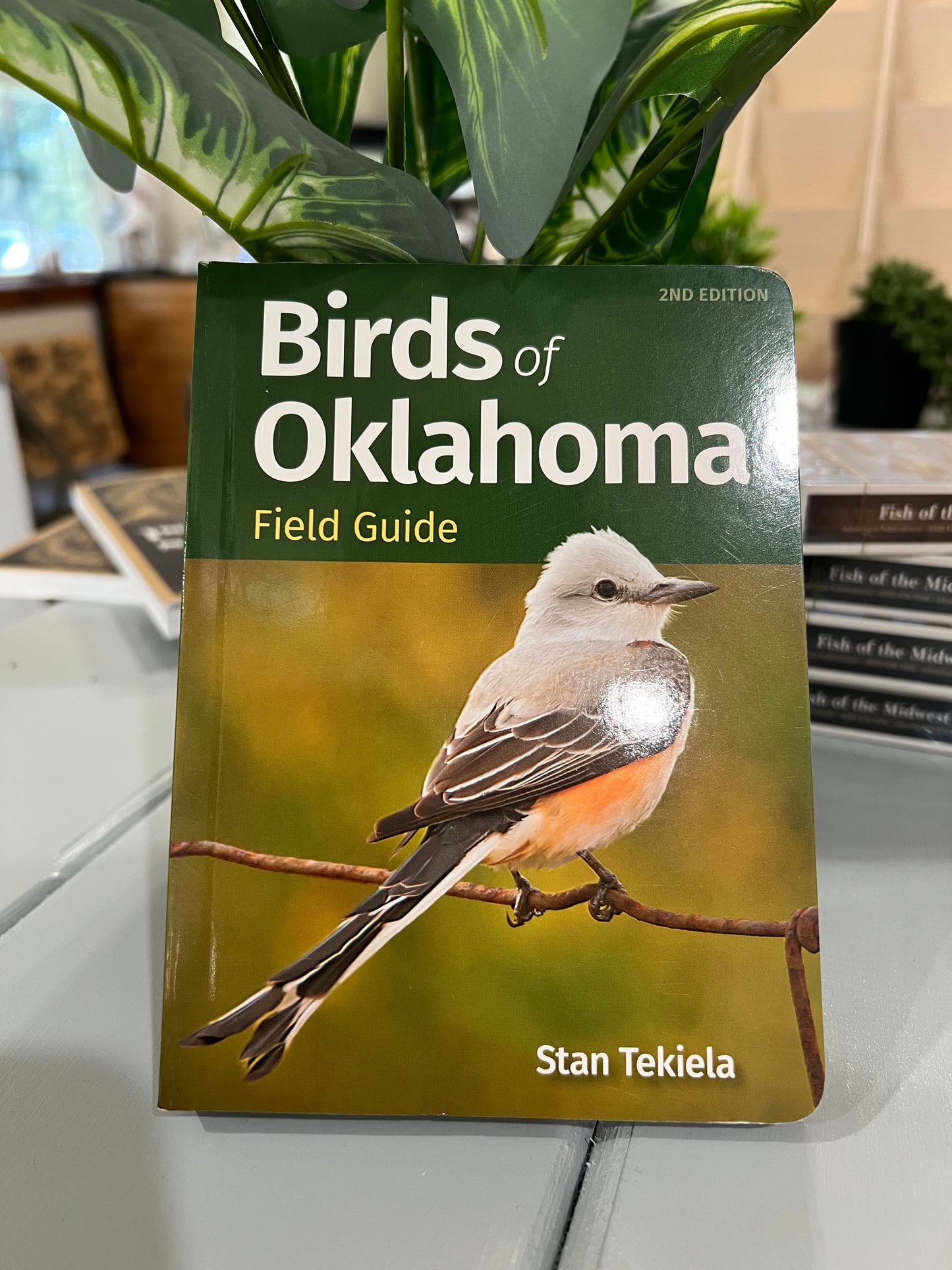 Birds of Oklahoma Field Guide (2nd Edition)