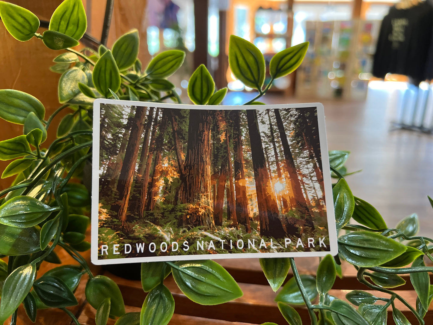 Redwoods National Park Sticker