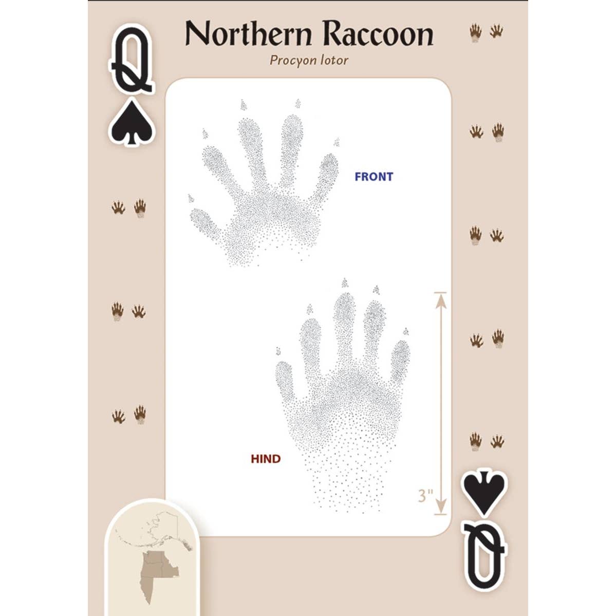 Animal Tracks of the Northwest Cards