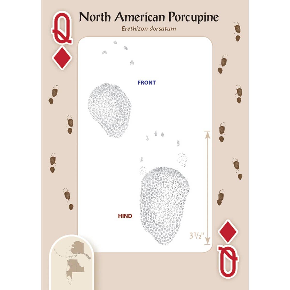 Animal Tracks of the Northwest Cards