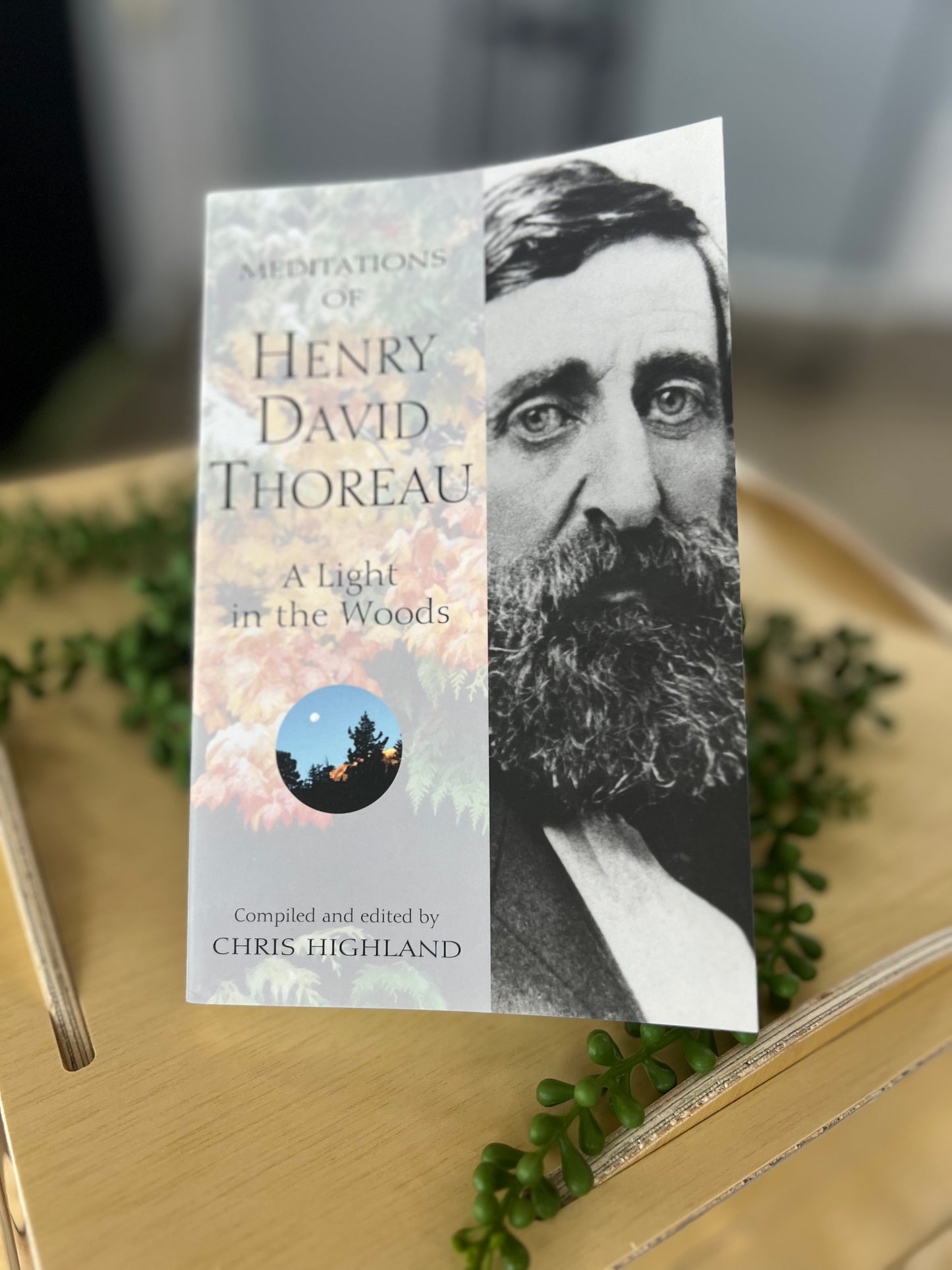 Meditations of Henry David Thoreau