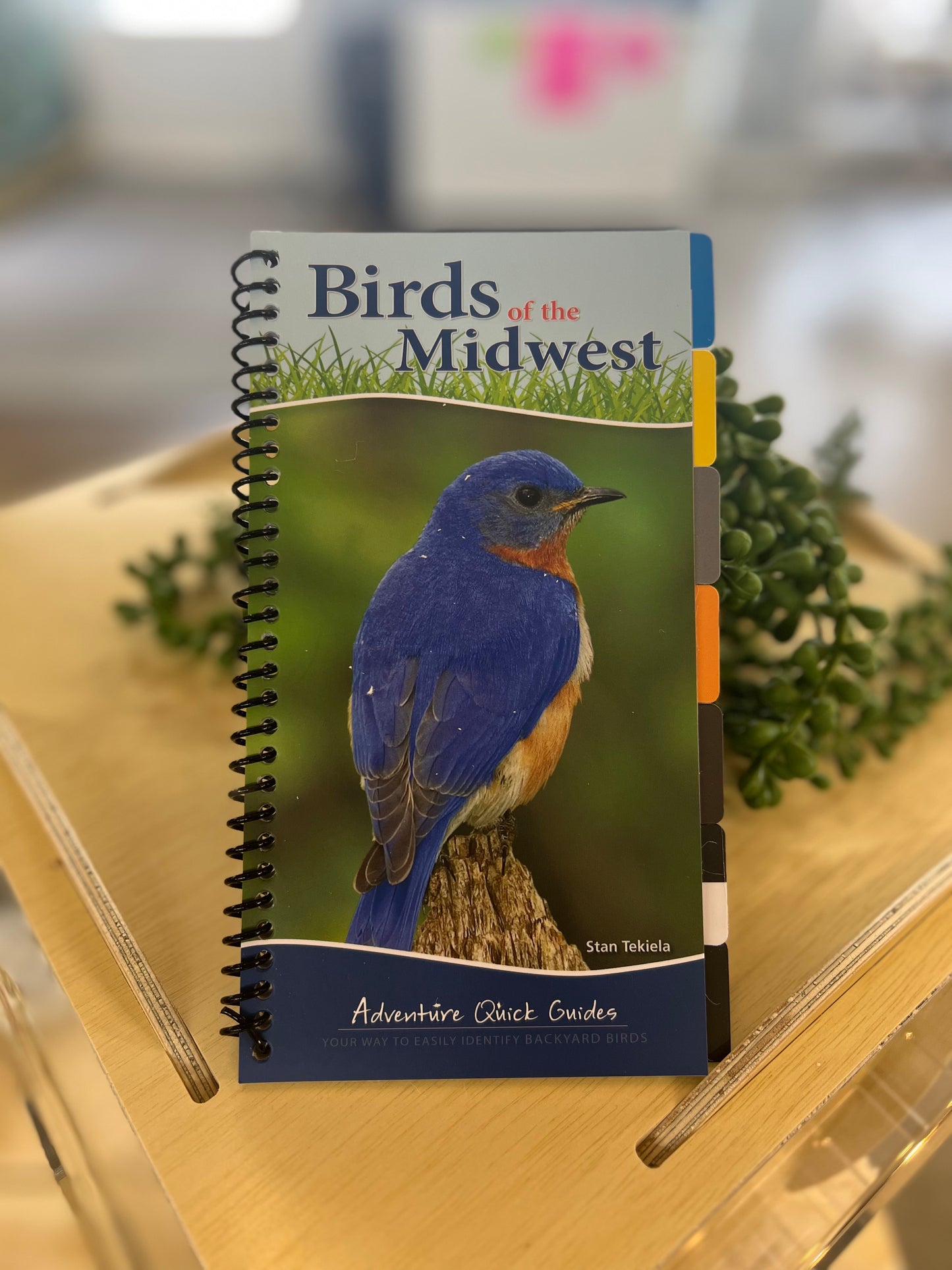 Birds of the Midwest Field Guide