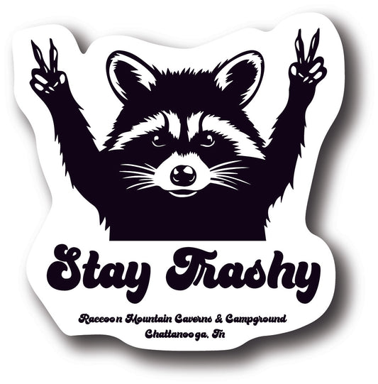 Stay Trashy Raccoon Mountain Sticker