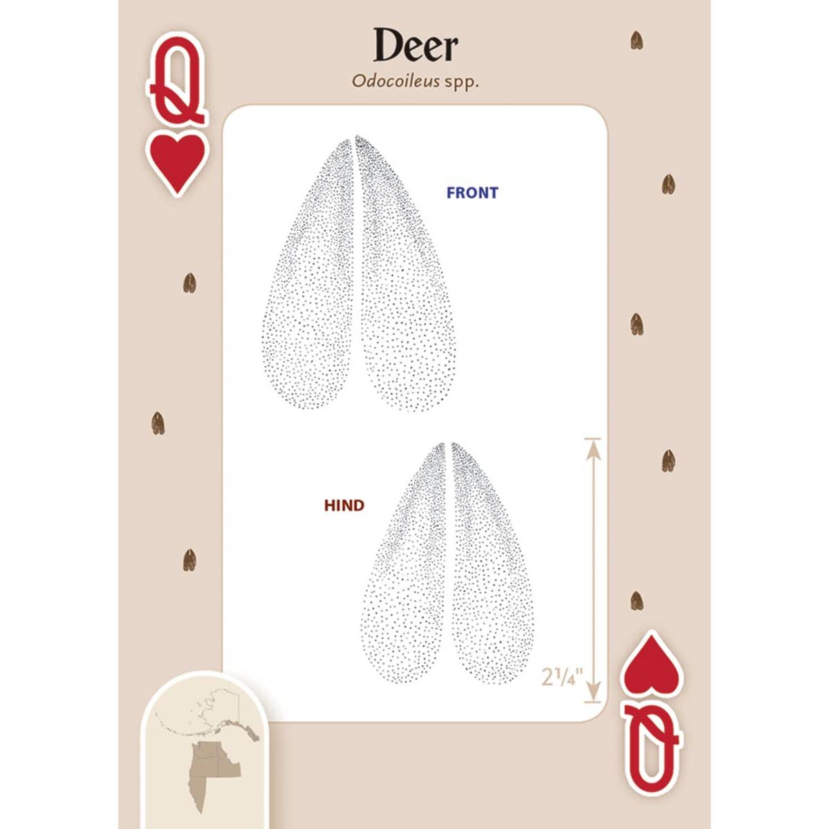 Animal Tracks of the Northwest Cards