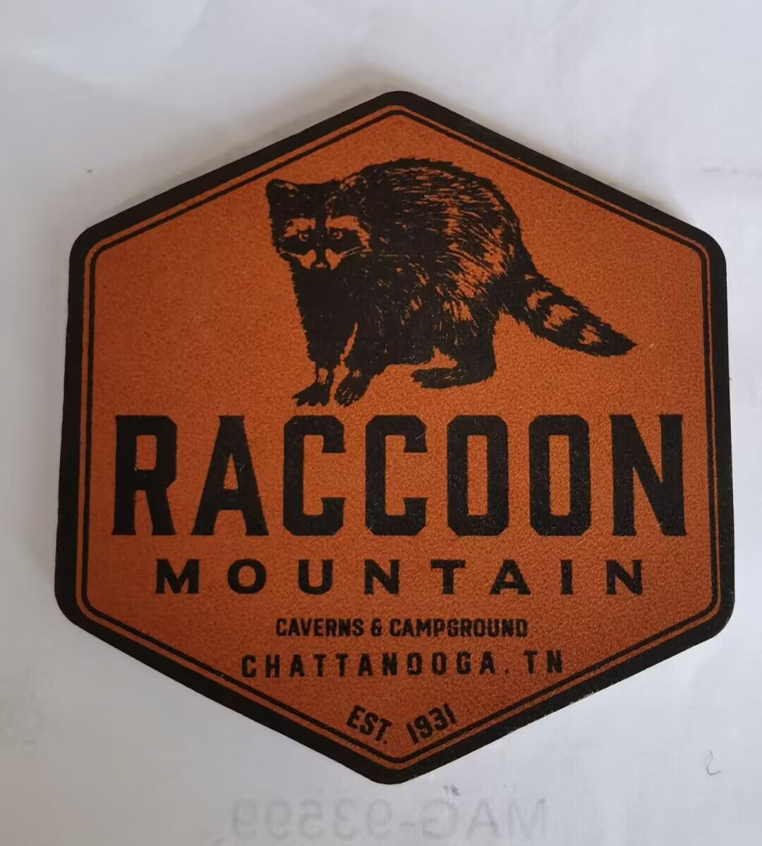 Raccoon Mountain Logo Iron-On Patch